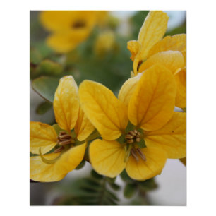 Póster Macro de la flor dorada - Fotografía de flor silve
