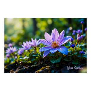 Póster Macro Flores Silvestres Moradas Bosque con Rocío