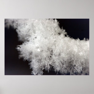 Póster Macro Poster de copo de nieve