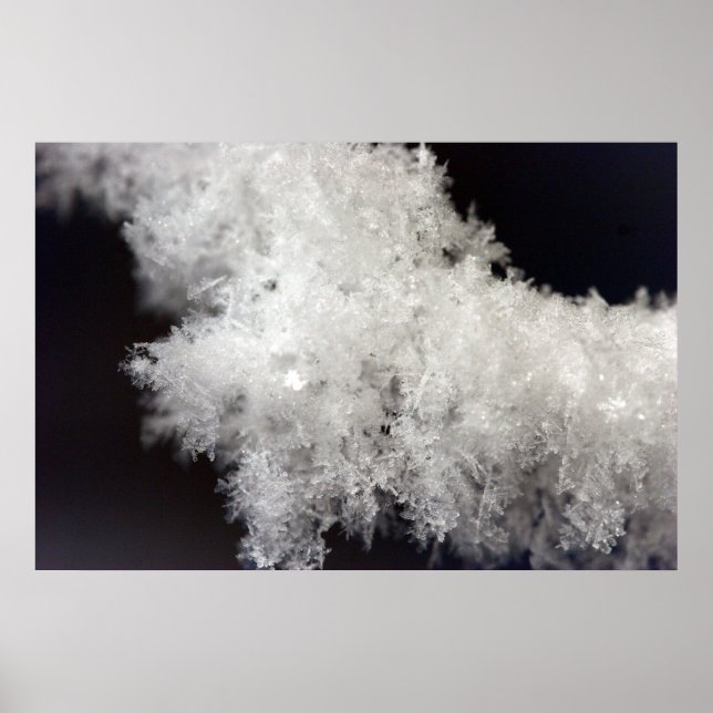 Póster Macro Poster de copo de nieve (Frente)