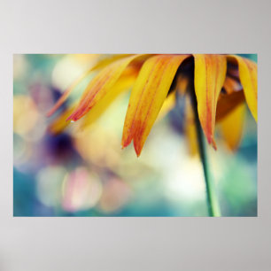 Póster Macroanálisis de la flor de Rudbeckia amarilla Pet