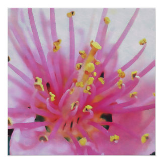 Póster Macromacro de polen rosado Resumen Arte