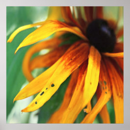 Póster Macroresumen de la flor de Rudbeckia amarilla