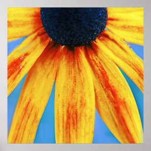 Póster Macroresumen de la flor de Rudbeckia amarilla