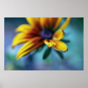 Póster Macroresumen de la flor de Rudbeckia amarilla
