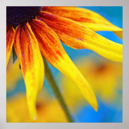 Póster Macroresumen de la flor de Rudbeckia amarilla