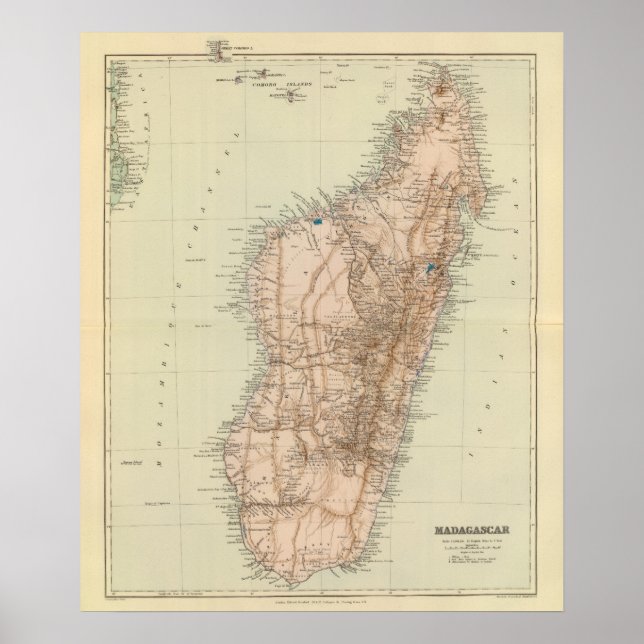 Póster Madagascar (Frente)