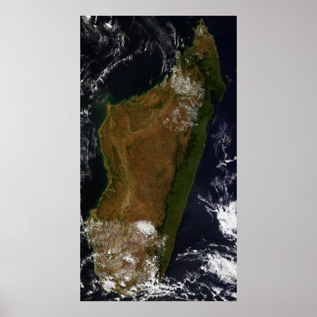 Póster Madagascar (Frente)