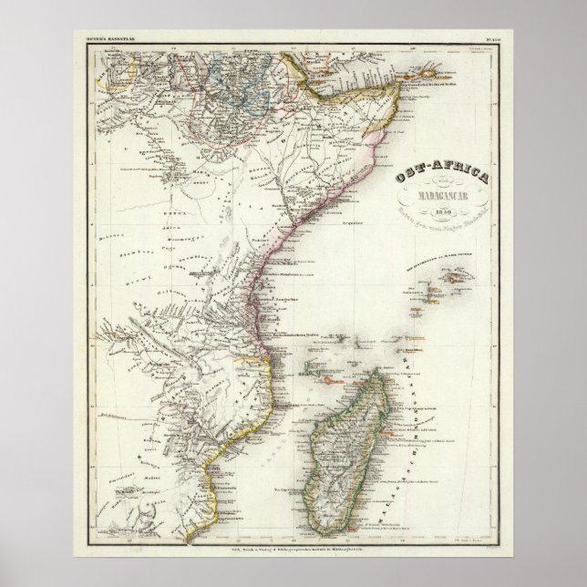 Póster Madagascar (Frente)