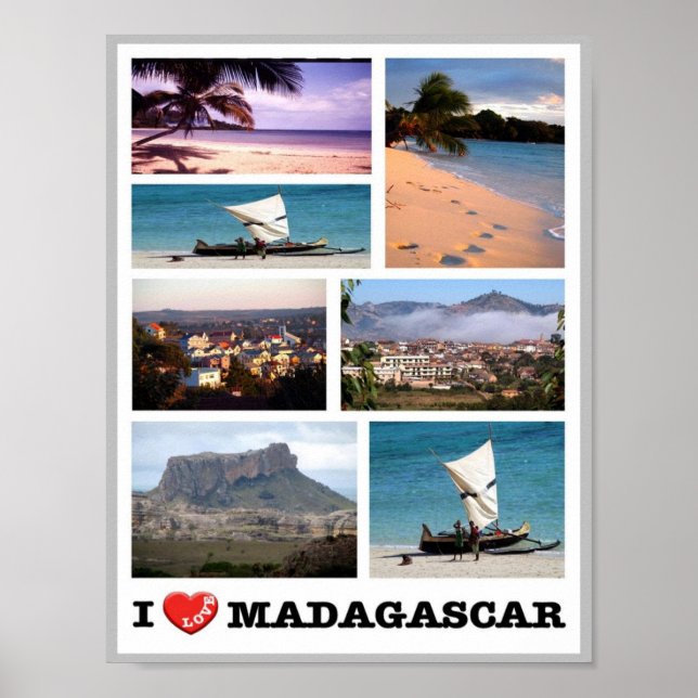Póster Madagascar - Amo - (Frente)