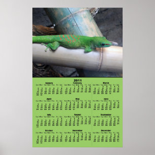 Póster Madagascar Giant Day Gecko 2011 Calendar Poster