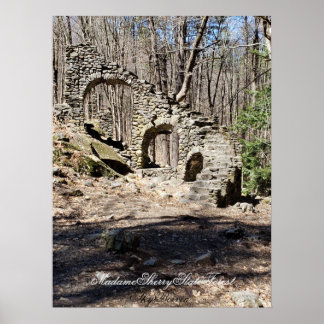 Póster Madame Sherry State Forest