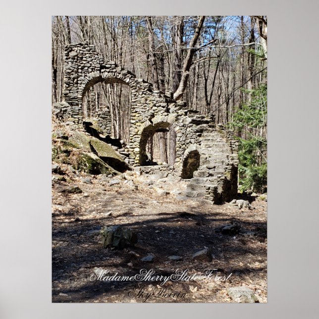 Póster Madame Sherry State Forest (Frente)