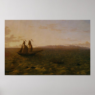 Póster Madeira