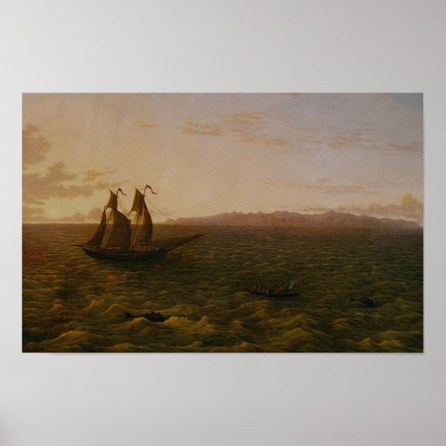 Póster Madeira (Frente)