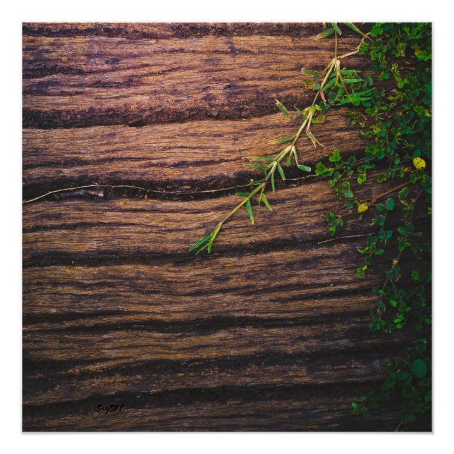 Póster madera antigua (Anverso)