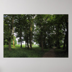 Póster Madera, Bute Park Cardiff