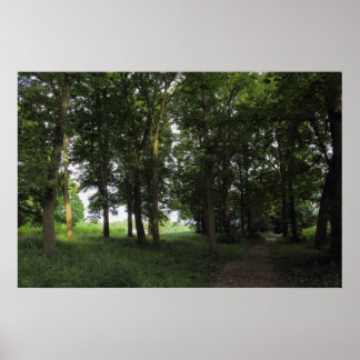 Póster Madera, Bute Park Cardiff