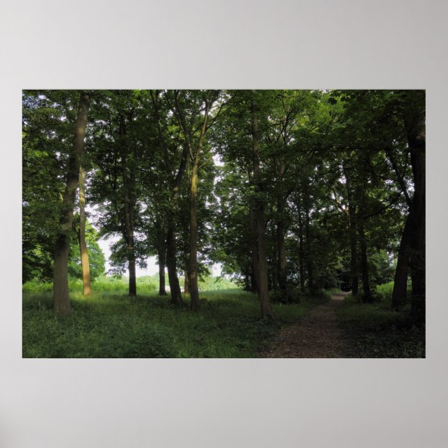 Póster Madera, Bute Park Cardiff (Frente)