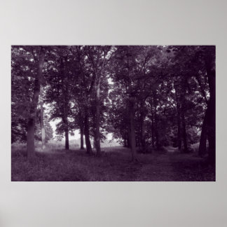Póster Madera, Bute Park Cardiff - BW morado