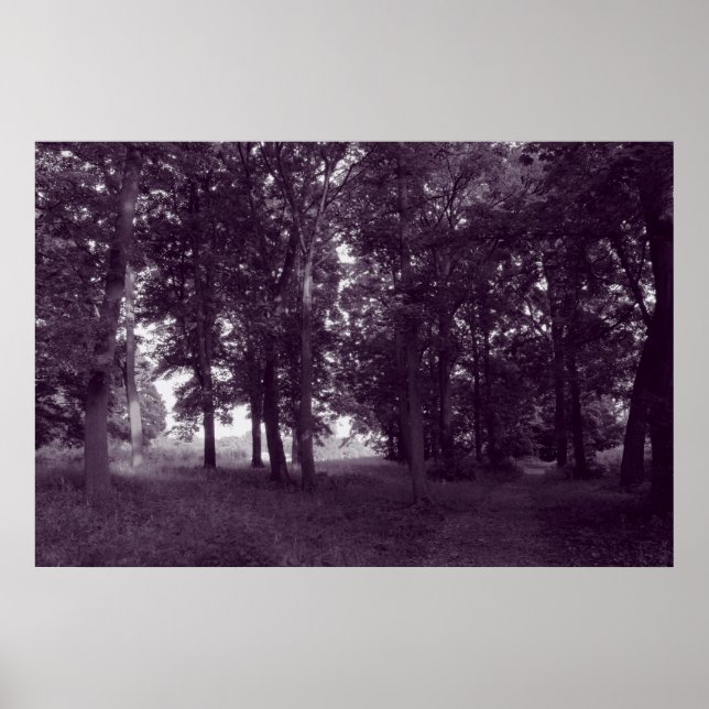 Póster Madera, Bute Park Cardiff - BW morado (Frente)