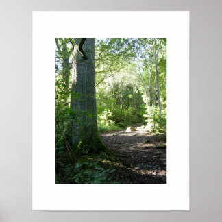 Póster Madera Castlehead: Keswick