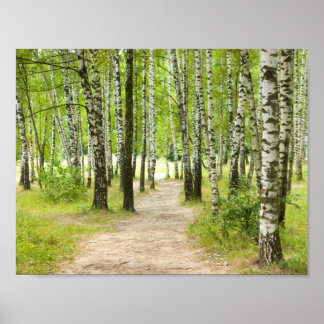 Póster Madera de aves