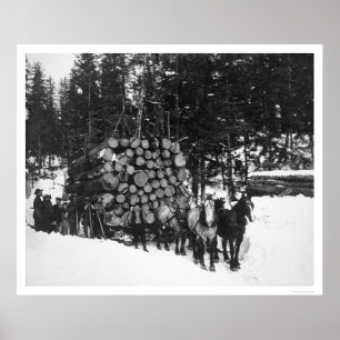 Póster Madera de construcción que acarrea Seward, Alaska