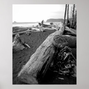Póster madera de deriva bw 2