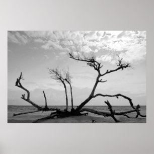 Póster Madera Muerta