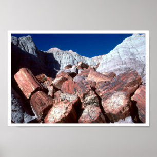 Póster Madera Petrieficada, Petrified Forest NP, Arizona
