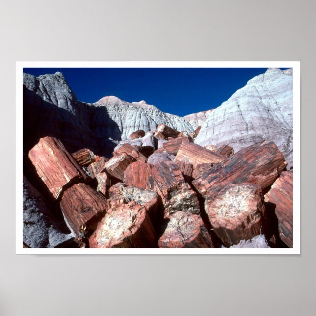 Póster Madera Petrieficada, Petrified Forest NP, Arizona (Frente)