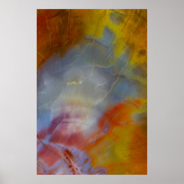 Póster Madera petrificada abstracta primer plano (Frente)