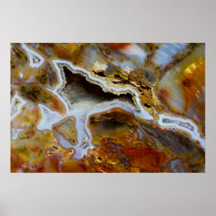Póster Madera Petrificada Con Cristales
