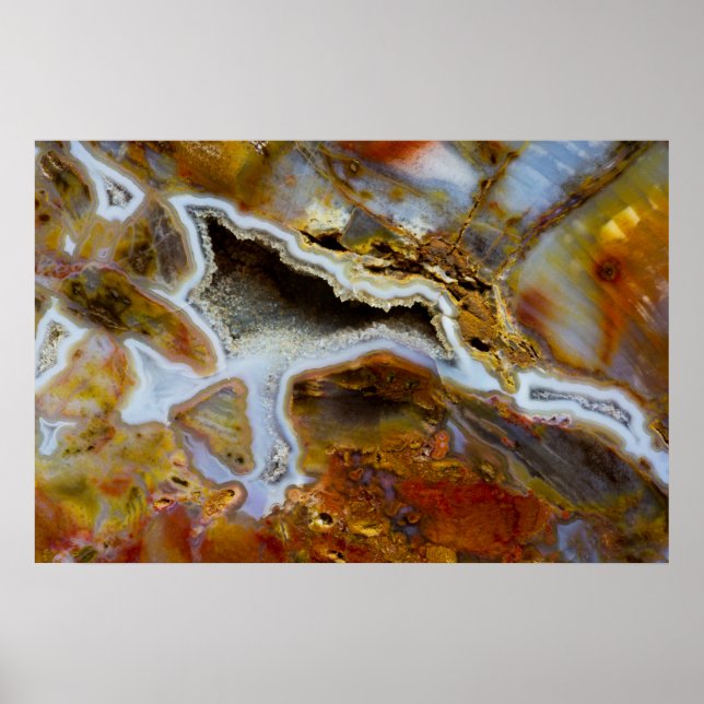 Póster Madera Petrificada Con Cristales (Frente)