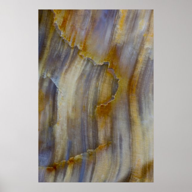 Póster Madera petrificada ondulada (Frente)