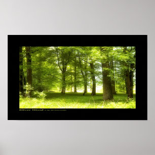 Póster Madera plateada