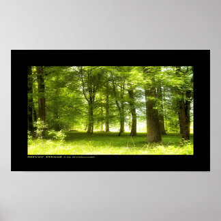 Póster Madera plateada