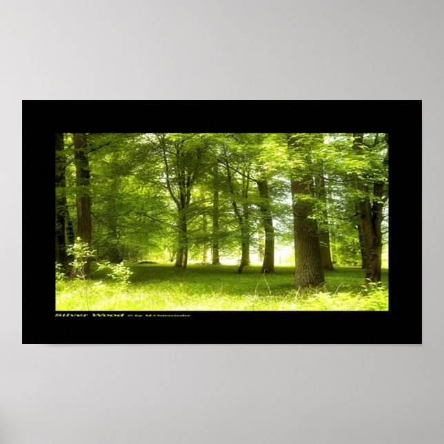 Póster Madera plateada (Frente)