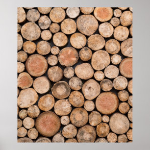 Póster madera preciosa