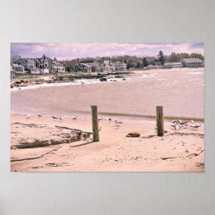 Póster Madison Beach Living Connecticut