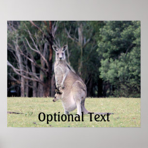 Póster Madre canguro con Joey bebé en su valija