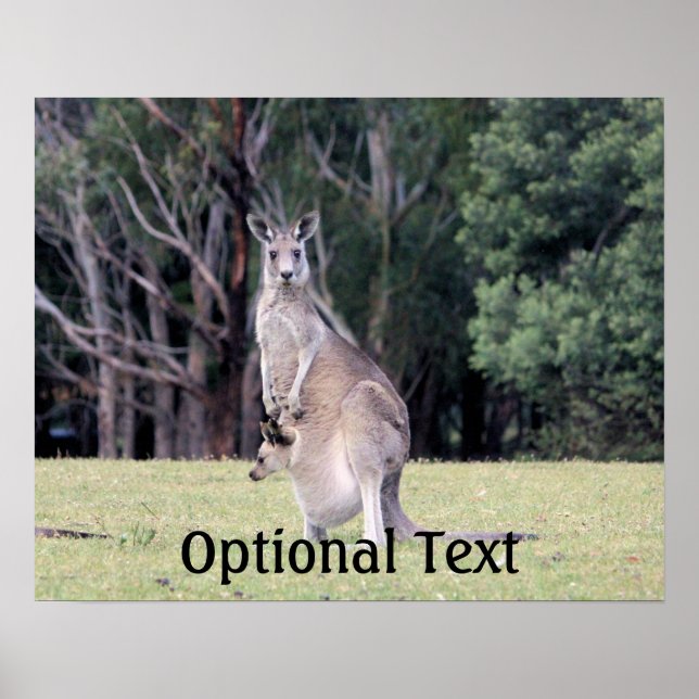 Póster Madre canguro con Joey bebé en su valija (Frente)