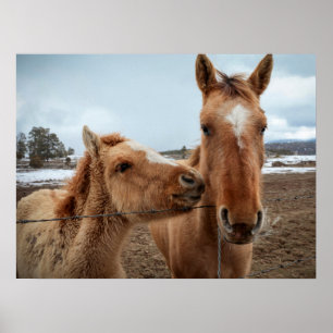 Póster Madre de caballo y de pie