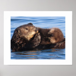 Póster Madre de nutria marina y cachorro adorable