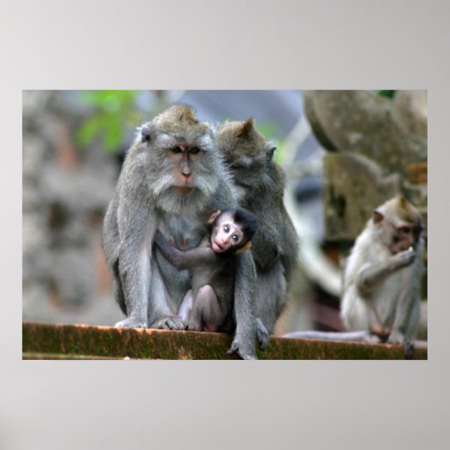 Póster Madre e hijo (Frente)