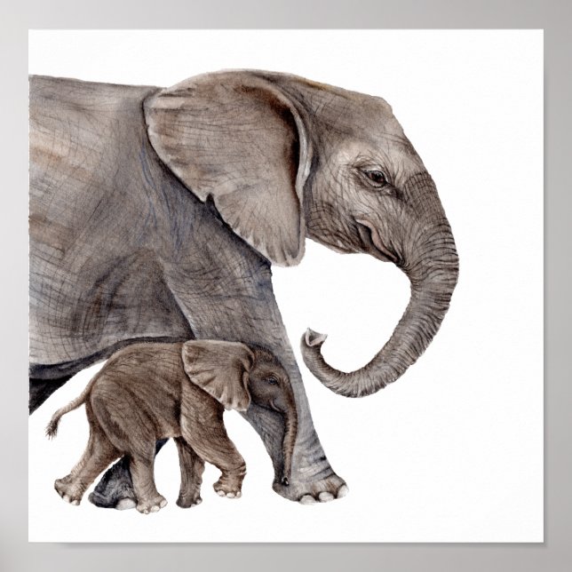 Póster Madre elefante con bebé elefante (Frente)