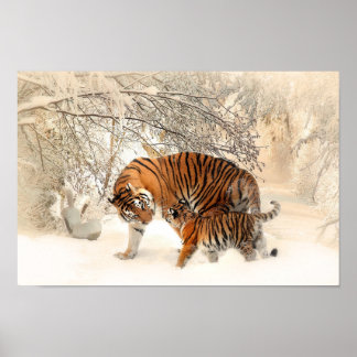 Póster Madre madre tigre con bebé en la nieve