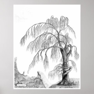 Póster "Madre naturaleza", por Jeff Camden