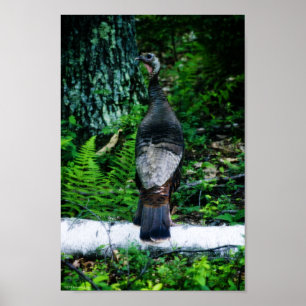 Póster Madre Poster turca